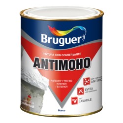 ANTIMOHO PINTURA