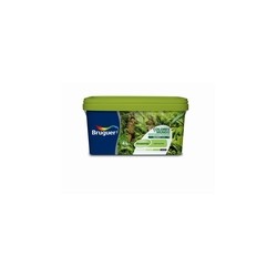 PINT PLAST AMAZONAS VERDE