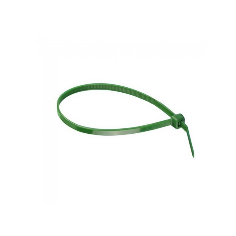 BRIDA NYLON VERDE C/100