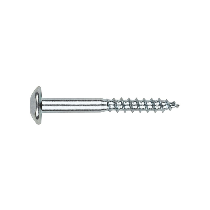 TORNILLO INVIOLABLE ZN C/100