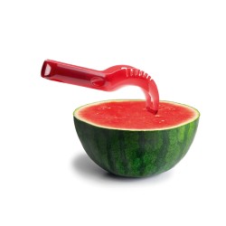 CORTADOR SANDIA PLASTICO