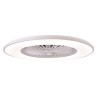 VENTILADOR TECHO C/LUZ 8 ASPAS GRIS