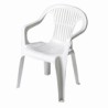 SILLON RESINA BAJO BLANCO