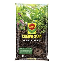 TIERRA MACETA PLANTA VERDE