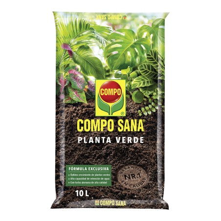 TIERRA MACETA PLANTA VERDE