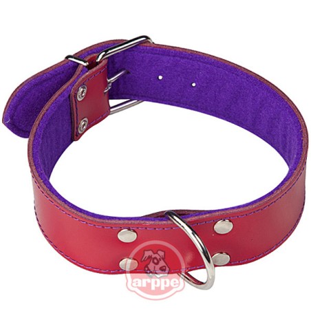 COLLAR PERRO CUERO GRANATE/PUR