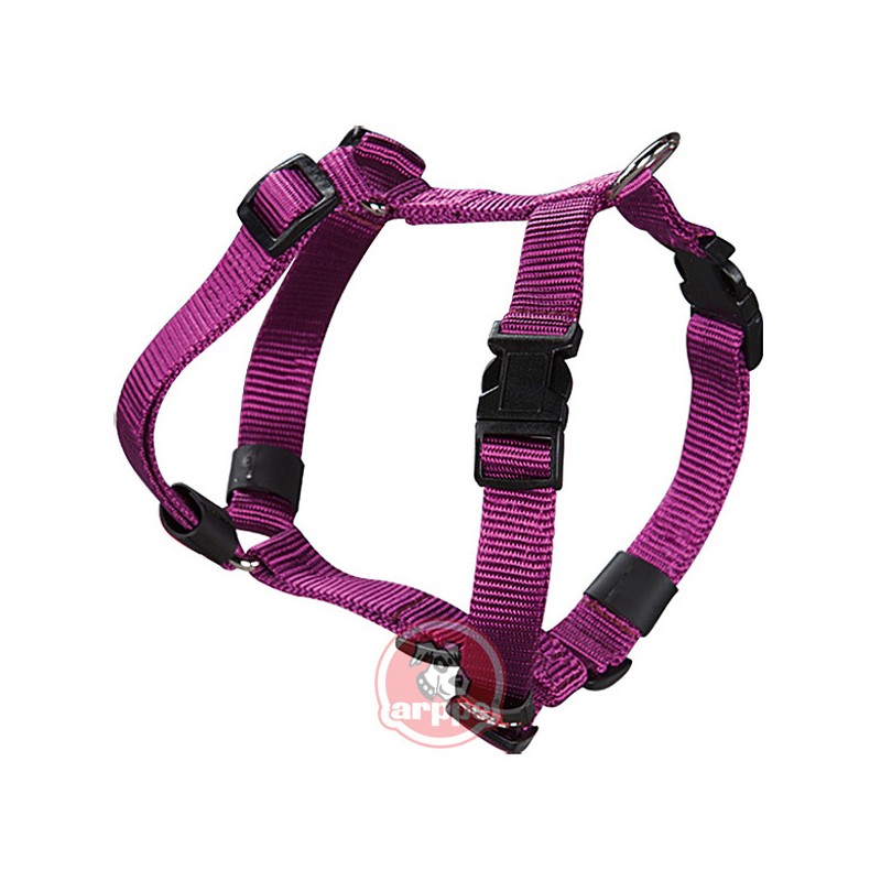 ARNES PERRO NYLON MORADO