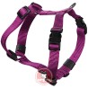 ARNES PERRO NYLON MORADO